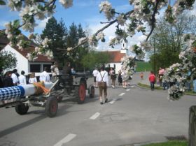 Maibaum UZB 2008 023.JPG