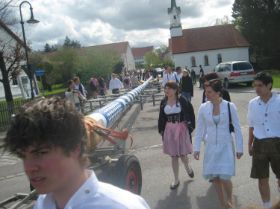 Maibaum UZB 2008 025.JPG