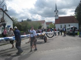 Maibaum UZB 2008 027.JPG