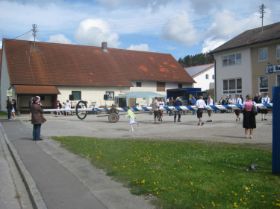 Maibaum UZB 2008 034.JPG