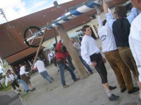 Maibaum UZB 2008 046.JPG