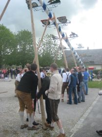 Maibaum UZB 2008 049.JPG