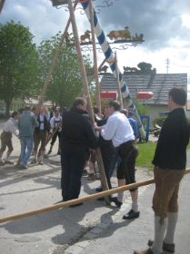 Maibaum UZB 2008 052.JPG