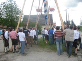 Maibaum UZB 2008 053.JPG