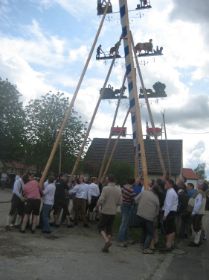 Maibaum UZB 2008 054.JPG